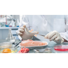 Nem Miktarının Toplam Et Proteini Miktarına Oranı