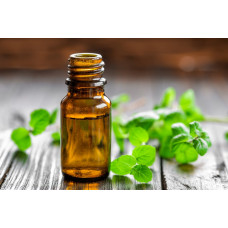 Uçucu Yağ Miktarı  Analizi (Kuru Madde)