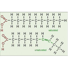 Yağ Asidi Analizi (Laurik asit)