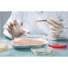 Yağ Miktarının Toplam Et Proteini Miktarına Oranı