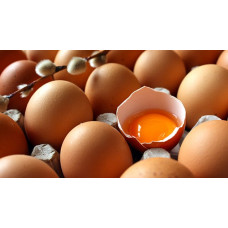 Yumurta Ağırlığı Analizi