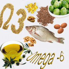 Omega 6 Yağ Asitleri Analizi Omega 6 Yağ Asitleri Analizi