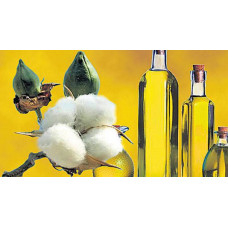 Pamuk Yağı Aranması Analizi