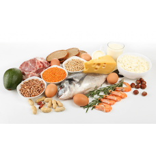 Protein Analizi (Yağsız Kuru Madde)