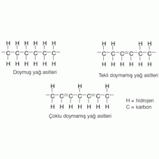 Tekli Doymamış Yağ Asitleri Analizleri Tekli Doymamış Yağ Asitleri Analizleri