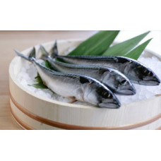 Toplam Uçucu Bazik Azot (TVB-N) Analizi